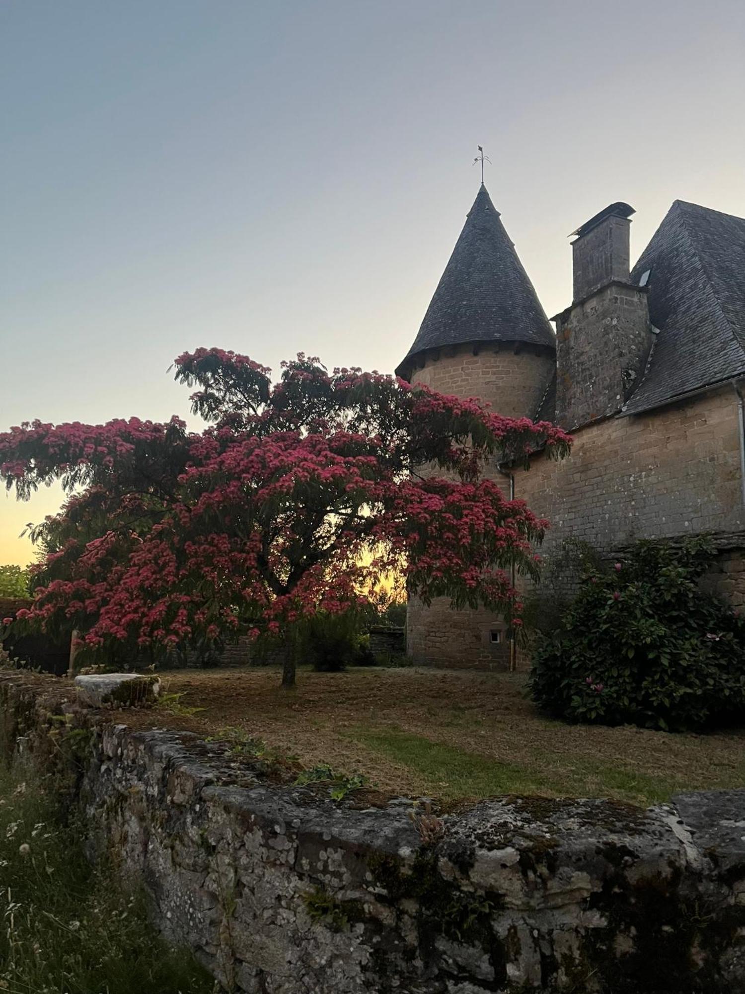 Le Cantou Affieux Bagian luar foto